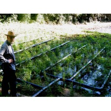 Rainwater Harvesting with Ollan Herr Sunday 27th February 2022